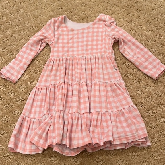 Gigi & Max Other - Gigi & Max Pink Gingham Twirl 18M